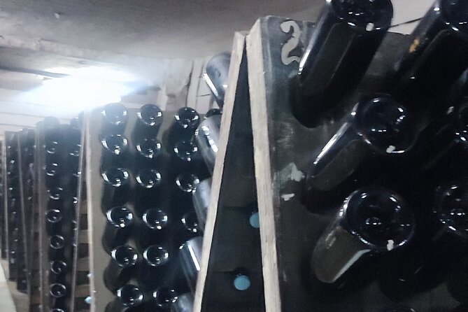 1 Day: Wine tasting tour to Milesti Mici and Cricova cellar from Moldova - Timing, transport, and comfort