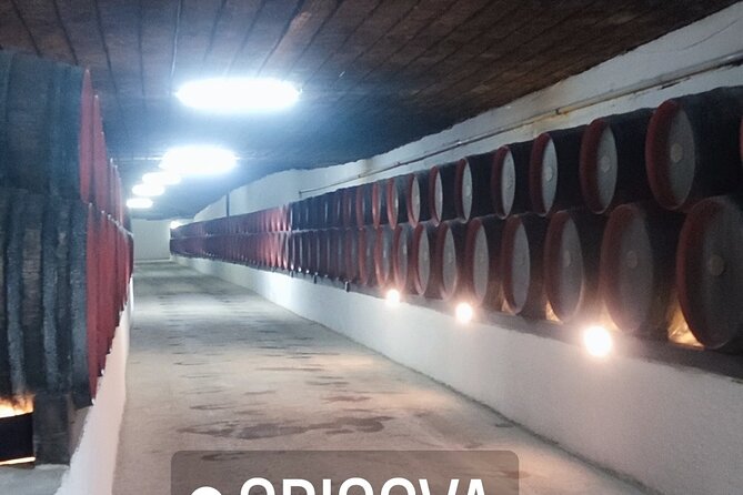 1 Day: Wine tasting tour to Milesti Mici and Cricova cellar from Moldova - Cancellation and booking details
