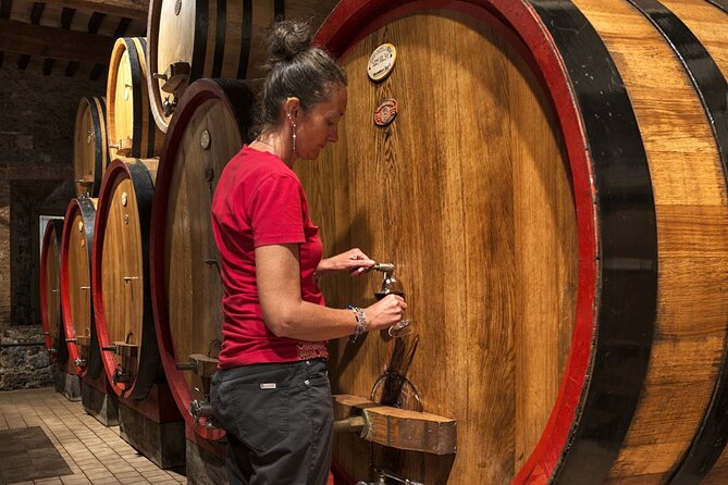 1-Hour Experience with Brunello. Visit to the Vineyard and Cellar - Timing, Group Size, and Practical Planning