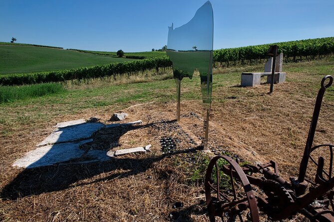 1-Hour Experience with Brunello. Visit to the Vineyard and Cellar - Organic Sangiovese Vines and Outdoor Art