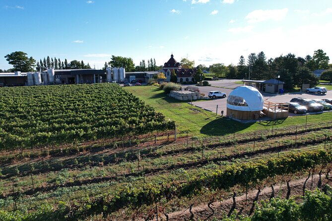 1 Hour Private Vineyard Dome Experience in Niagara-on-the-Lake - The hosts shape the experience