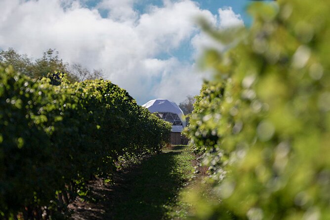1 Hour Private Vineyard Dome Experience in Niagara-on-the-Lake - Who should book this experience