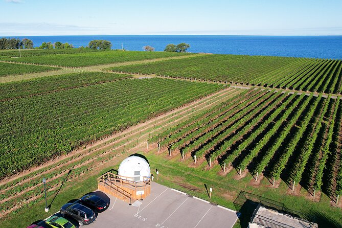 1 Hour Private Vineyard Dome Experience in Niagara-on-the-Lake - How the 60 minutes unfold