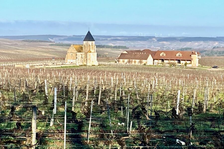 15 Burgundy Wines Chateau Pommard, Chablis Small-Group - Jean-Marc Brocard and the Chablis classification