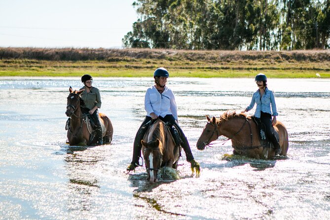 2 Hour Vineyard Trail Ride - Riding through Vredenheim’s vineyards