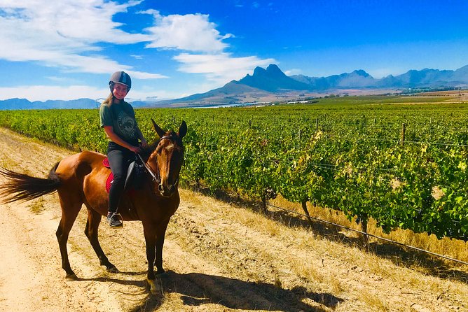 2 Hour Vineyard Trail Ride - What you will see from the saddle
