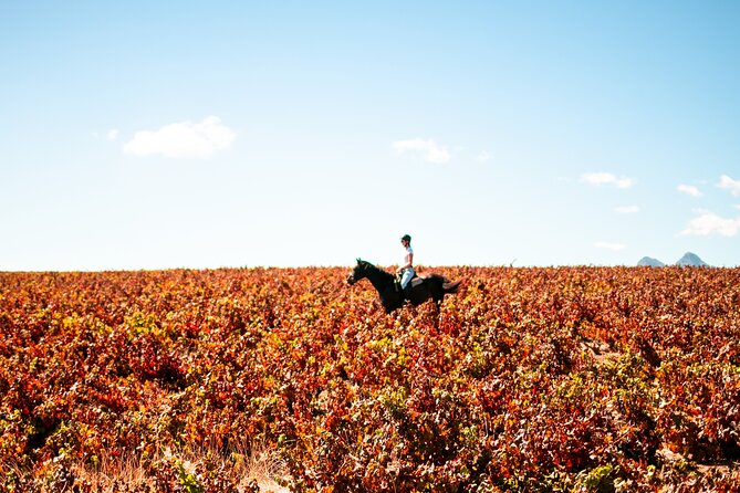 2 Hour Vineyard Trail Ride - The Big Cats Park is nearby, but not part of the ride