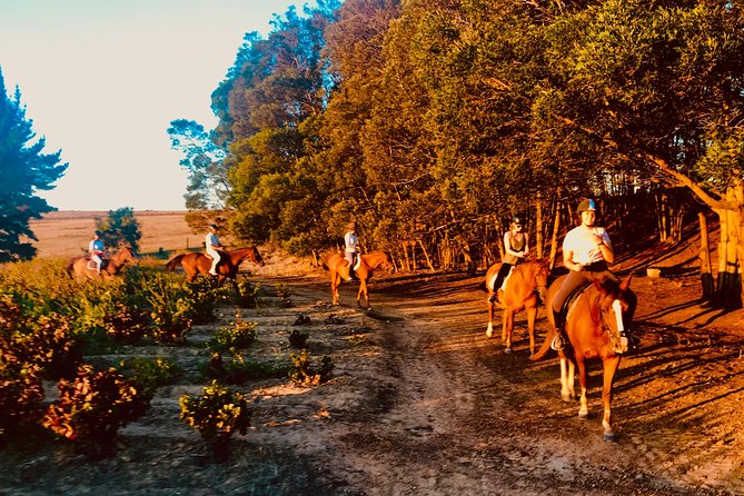 2 Hour Vineyard Trail Ride - Spier Wine Farm adds context, not extra tour time
