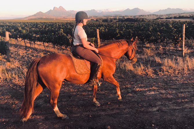 2 Hour Vineyard Trail Ride - Clothing, fitness, and the 95-kilogram limit