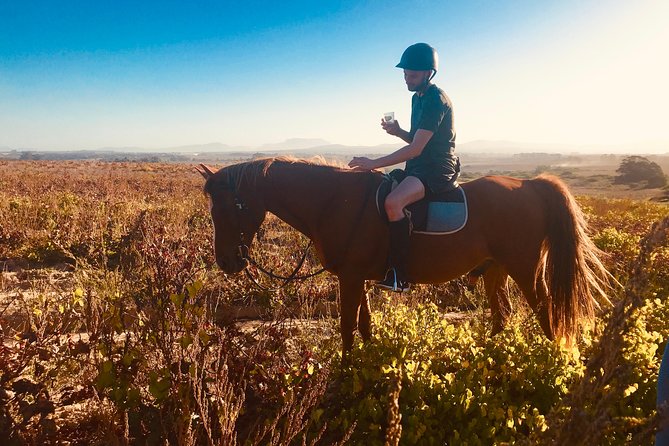 2 Hour Vineyard Trail Ride - Who will enjoy this ride most?