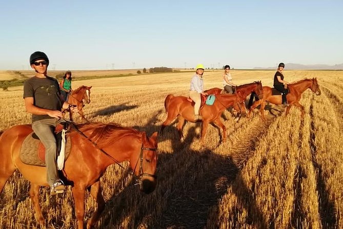 2 Hour Vineyard Trail Ride - A calm introduction for first-time riders