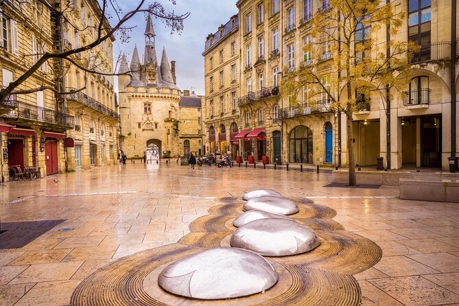 2 in 1 - Visit of Bordeaux and excursion in a vineyard - Key points to know before you book