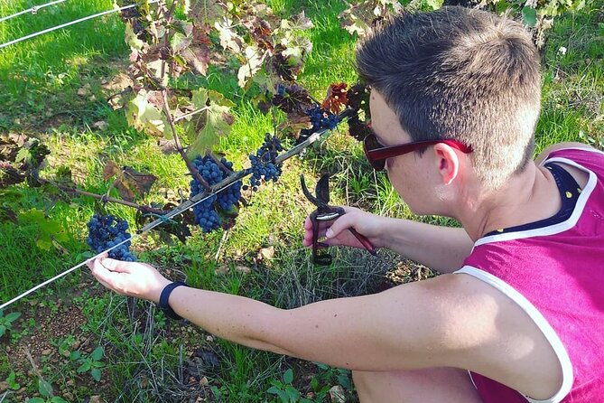 2 Wineries Small Group Tour with Free Hotel PickUp from Sitges - The ride from Sitges into Penedès