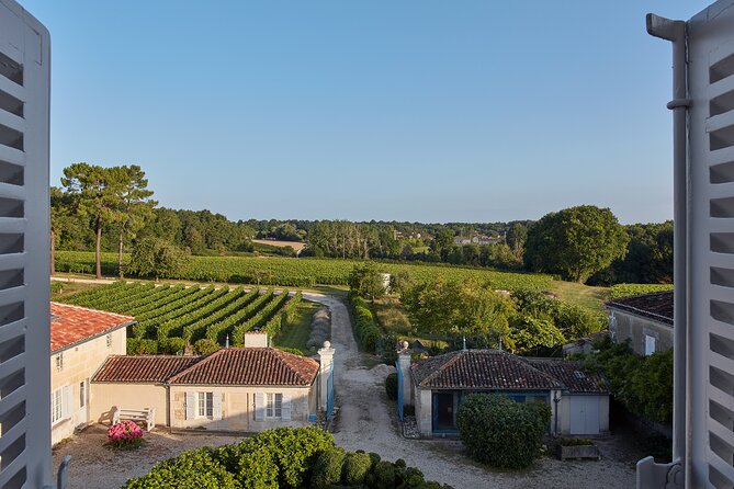 3-Hour Private Painting tuition in a beautiful Cognac vineyard - Timing, booking, and cancellation