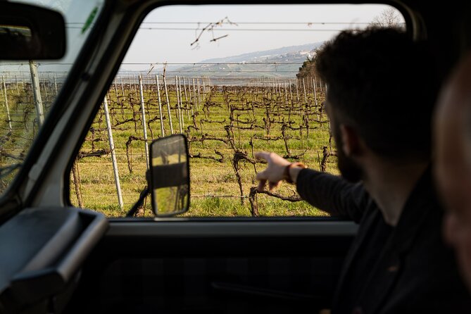 3-Hours of Activities with Safari Grand Tour and Tasting in Vineyards - Why this Cantina Mazzarosa outing feels different