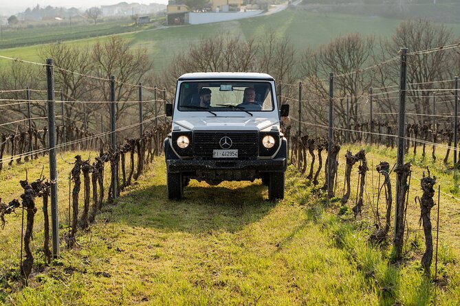3-Hours of Activities with Safari Grand Tour and Tasting in Vineyards - From the historic cellar to Europe’s largest barrel