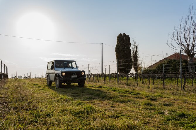 3-Hours of Activities with Safari Grand Tour and Tasting in Vineyards - What the $78.64 price buys you