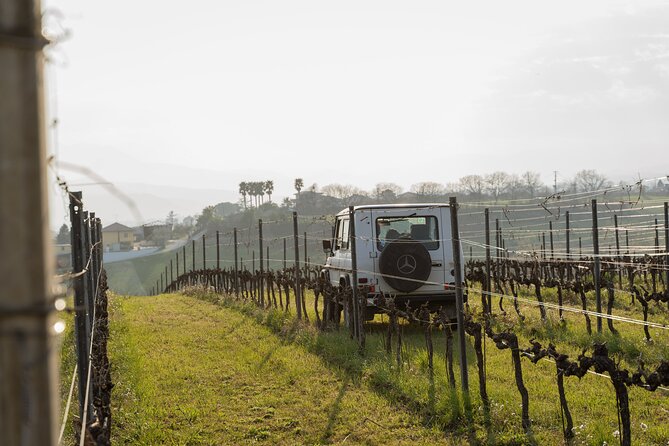 3-Hours of Activities with Safari Grand Tour and Tasting in Vineyards - The jeep ride to the hilltop vines