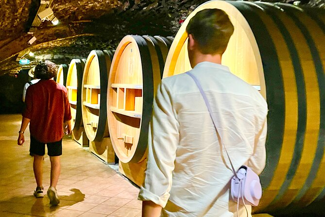 3 hours of Tour in the Wines of Châteauneuf-du-Pape - Who should book this morning tour?
