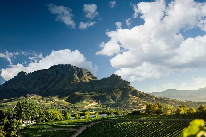 3 Wineries Private Tour in Stellenbosch, Paarl Tasting Included - Delaire Graff and the craft behind the bottle