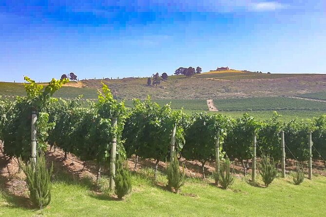 3 Wineries Private Tour in Stellenbosch, Paarl Tasting Included - Franschhoek is a short optional extension