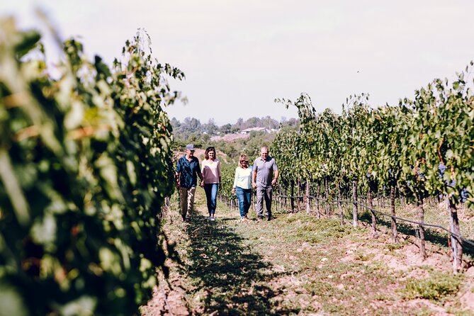3-Winery Paso Robles Tour with Picnic Lunch from Paso Robles - Second Stop: Small Wineries With Personal Attention