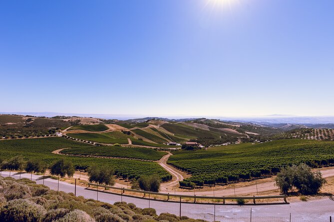 3-Winery Paso Robles Tour with Picnic Lunch from Paso Robles - Third Stop: Larger Estates and Paso Robles Names
