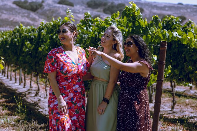 3-Winery Santa Ynez Tour with Picnic Lunch & Tasting Fees - Stop one: lunch, views, and a gentle start