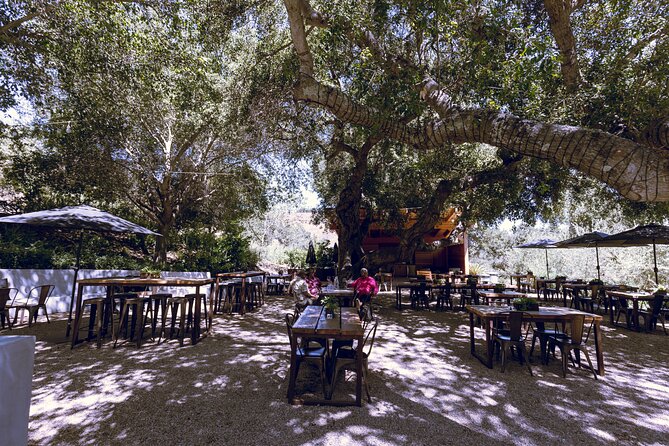 3-Winery Santa Ynez Tour with Picnic Lunch & Tasting Fees - Vehicle comfort and seating deserve a closer look