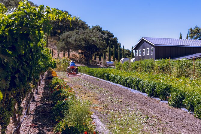 3-Winery Santa Ynez Tour with Picnic Lunch & Tastings from City - What the six-and-a-half-hour day feels like
