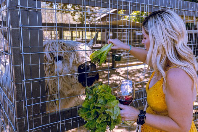 3-Winery Santa Ynez Tour with Picnic Lunch & Tastings from City - Wine quality, guide service, and the human factor