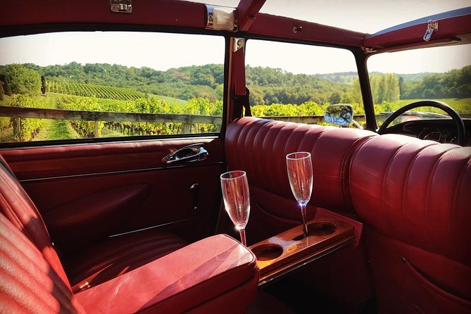 3H private city tour of Bordeaux and vineyard in a Citroën DS - Bordeaux’s UNESCO-listed center in a short window
