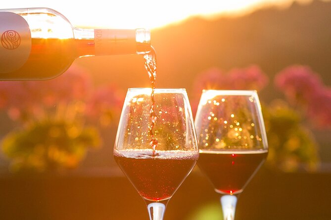 4-Hour Traverse City Sunset Wine Tour: 3 Wineries on Old Mission Peninsula - Key points at a glance
