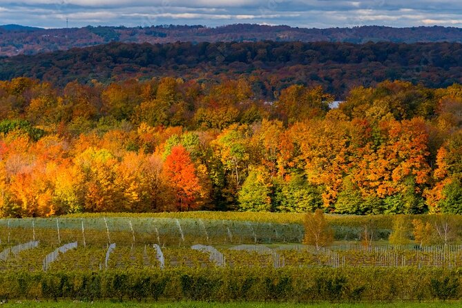 4-Hour Traverse City Sunset Wine Tour: 3 Wineries on Old Mission Peninsula - A Sunset Route Through Old Mission Peninsula