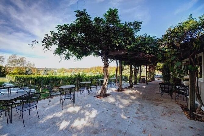 4-Hour Traverse City Sunset Wine Tour: 3 Wineries on Old Mission Peninsula - The Biggest Planning Issue: Stops Can Change
