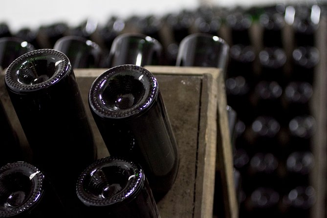 4 Hours Cricova Winery Tour with Tasting - The guide can shape the whole visit