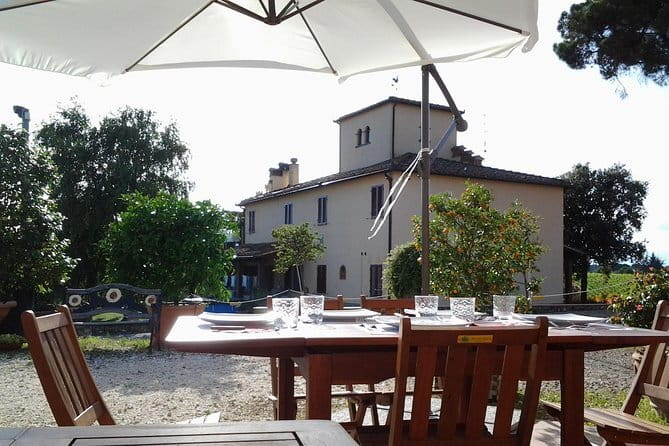 4 Wines & 2 Olive Oils Tasting in Chianti Winery with Tour - Four wines, from IGT Toscana to Riserva