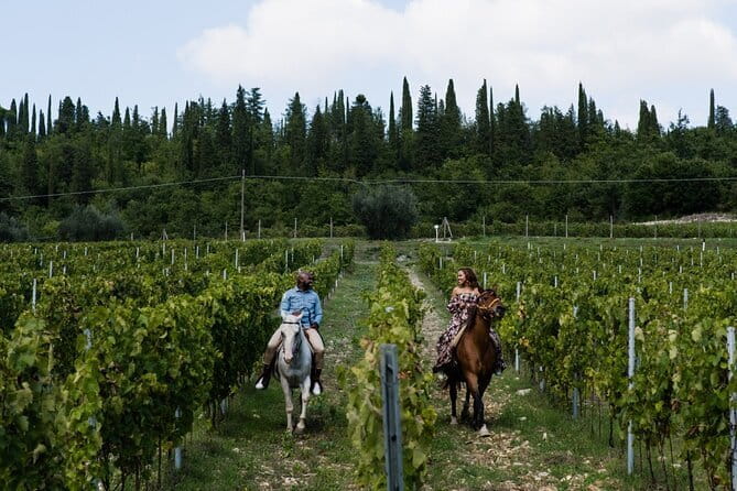 4 Wines & 2 Olive Oils Tasting in Chianti Winery with Tour - How the 90-minute timing works