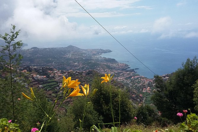 4x4 Safari Half day Poncha, Mountains, Vineyards and Cabo Girão Small group - Price, pickup and timing