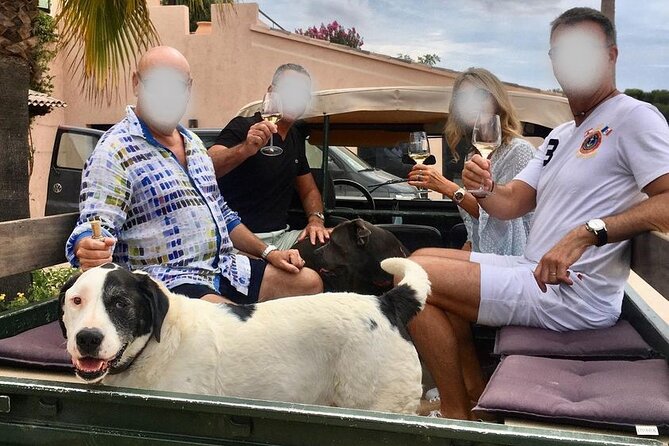 4x4 tour in a winery followed by a tasting - A vineyard ride with a view of Porquerolles