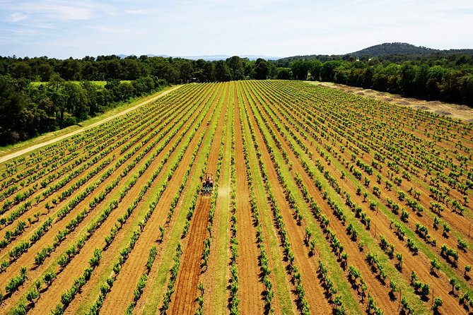 4x4 tour in a winery followed by a tasting - Who will enjoy this most?