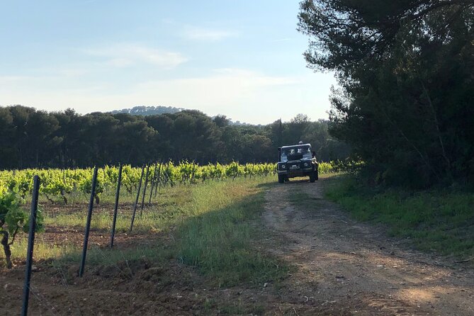 4x4 tour in a winery followed by a tasting - Timing, group size, and practical details