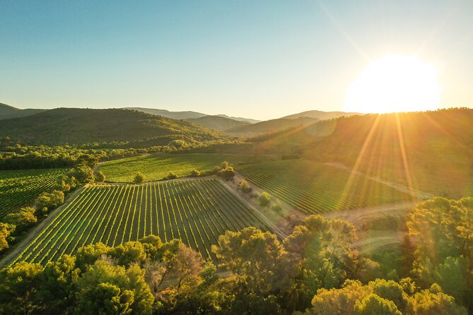 4x4 tour in a winery followed by a tasting - What the 4x4 ride adds to the winery visit