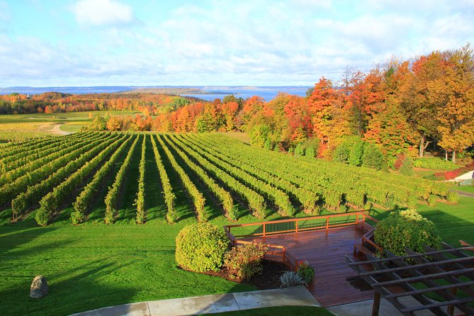 5-Hour Traverse City Wine Tour: 4 Wineries on Old Mission Peninsula - Why four wineries make sense on Old Mission Peninsula