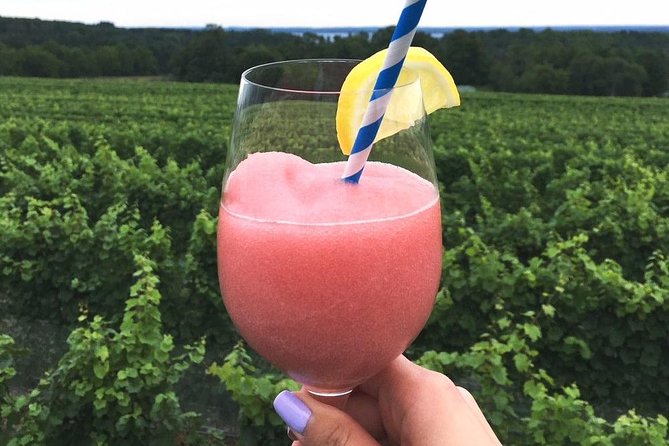 5-Hour Traverse City Wine Tour: 4 Wineries on Old Mission Peninsula - Bonobo: a polished final stop