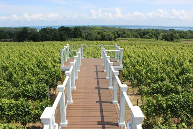5-Hour Traverse City Wine Tour: 4 Wineries on Old Mission Peninsula - Who will enjoy this bus tour most