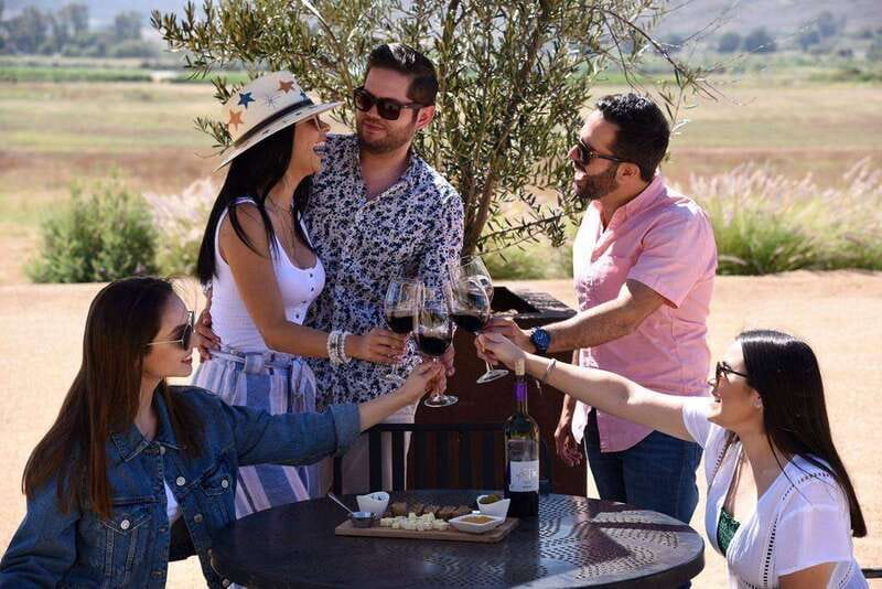 5 wines Tastings with Tour in Valle de Guadalupe Winery - Key points at a glance