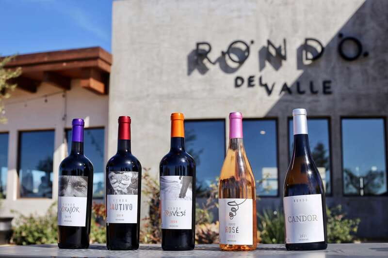 5 wines Tastings with Tour in Valle de Guadalupe Winery - Five wines, four styles, one compact visit