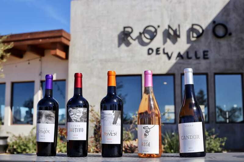 5 wines Tastings with Tour in Valle de Guadalupe Winery - Who will get the most from this experience