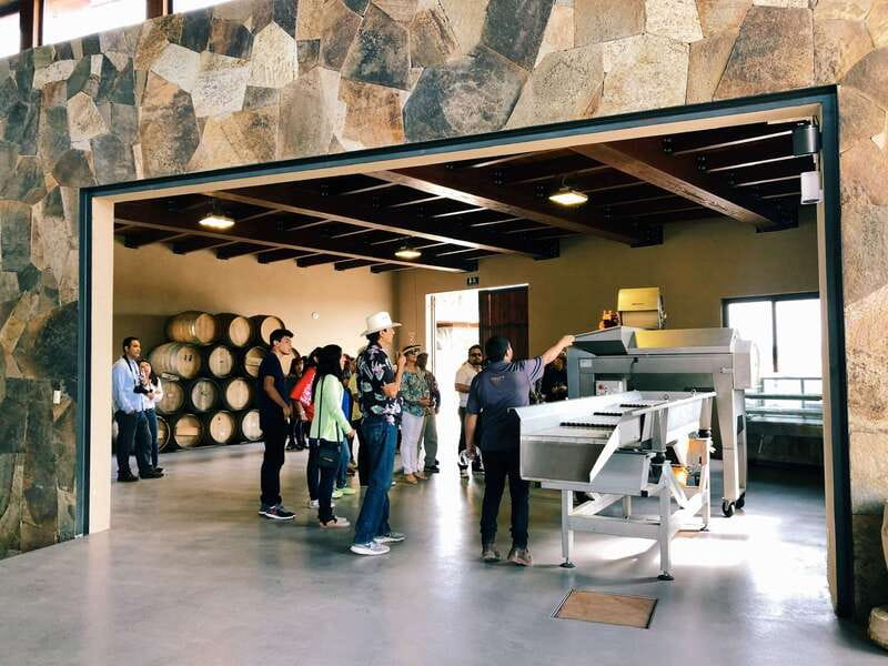 5 wines Tastings with Tour in Valle de Guadalupe Winery - A look below the tasting room